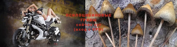 спиды Баксан