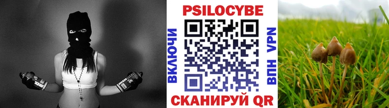 Псилоцибиновые грибы GOLDEN TEACHER Тобольск